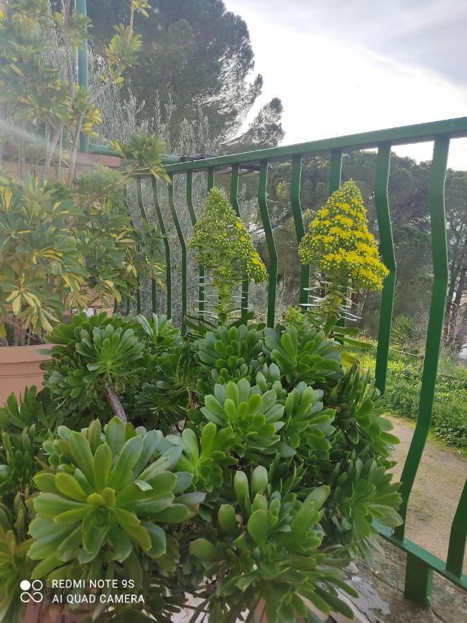 B&B Borgo Pileri Mazzarino Kültér fotó